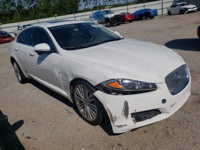 Jaguar Xf portfol (2012)