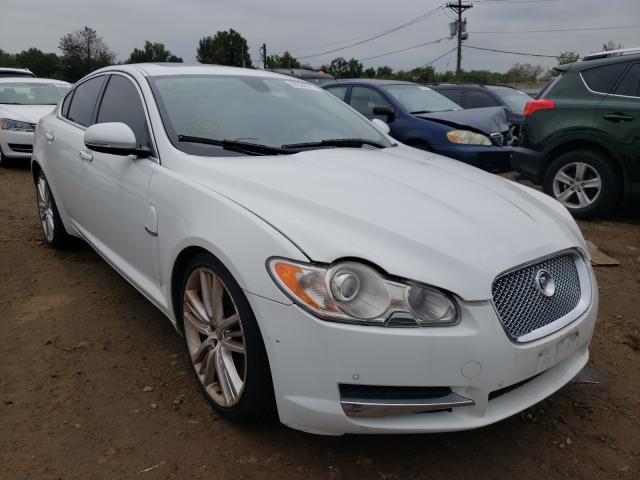 Jaguar Xf superch (2011)
