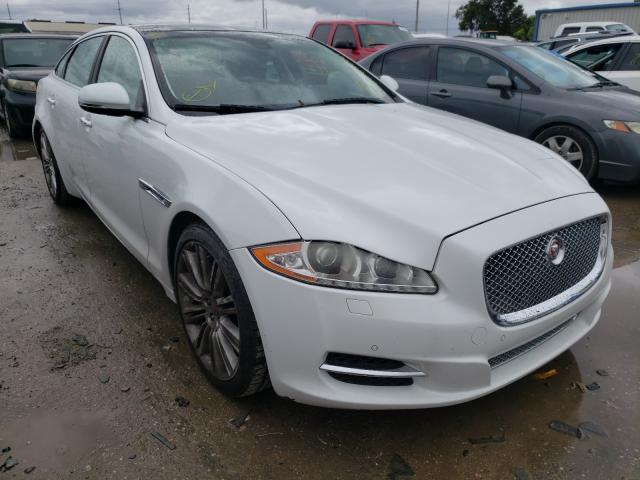 Jaguar Xjl superc (2014)