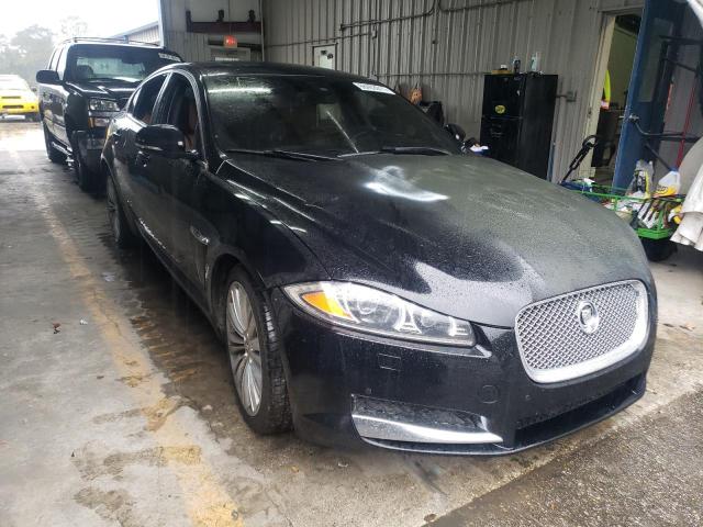 Jaguar Xf portfol (2012)