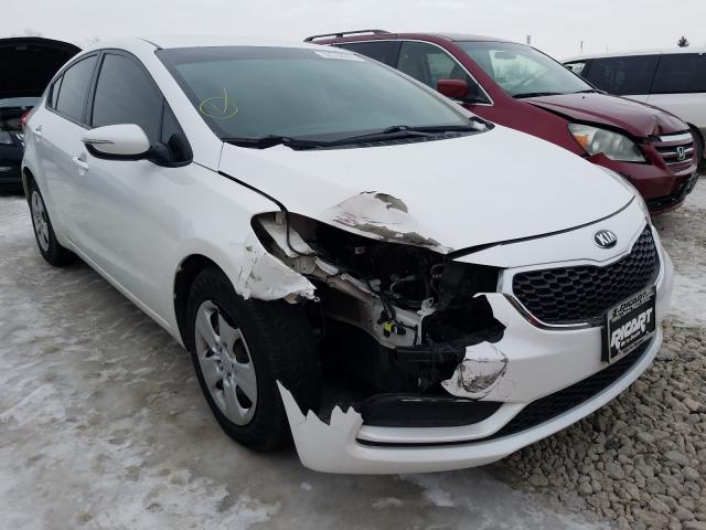 Kia Forte lx (2015)