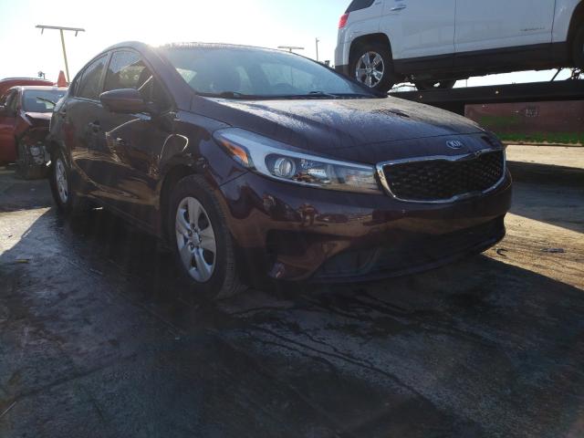 Kia Forte lx (2017)