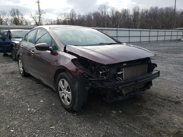 Kia Forte lx (2017)