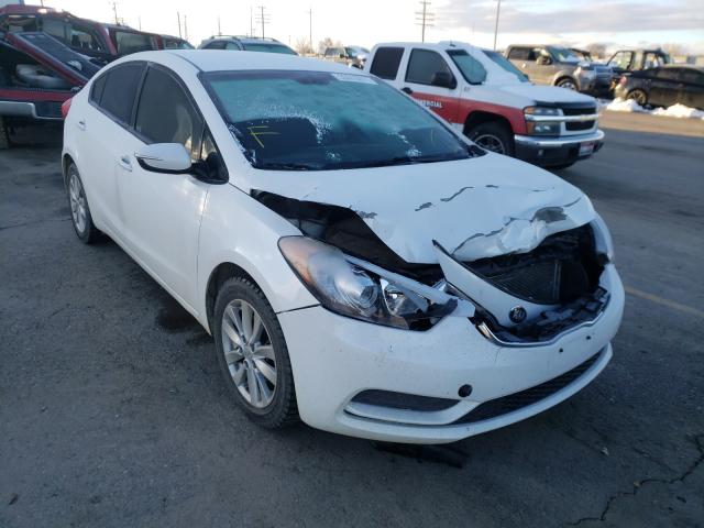 Kia Forte lx (2014)