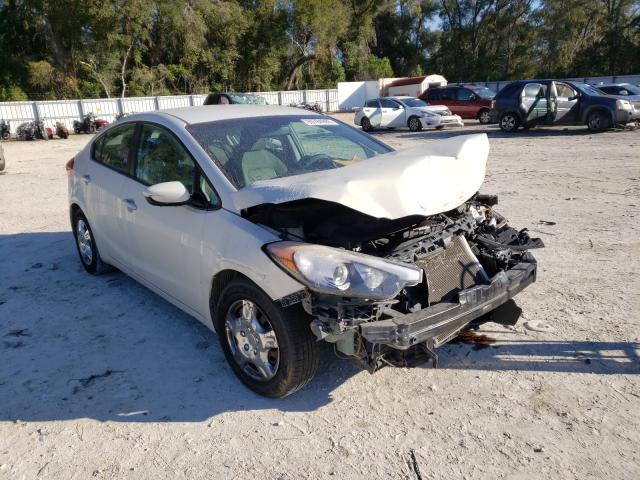 Kia Forte lx (2015)