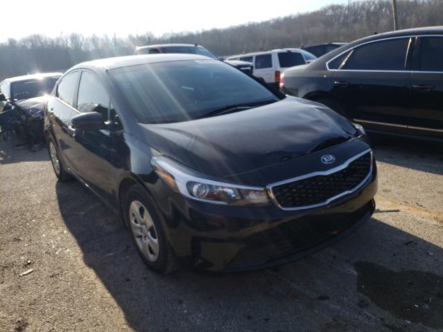 Kia Forte lx (2017)