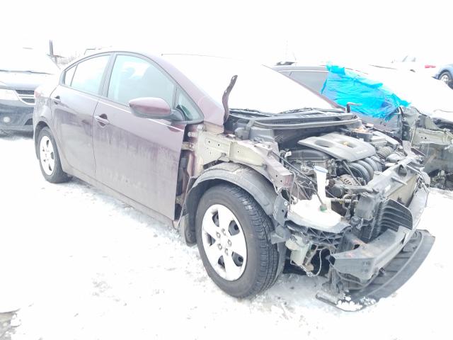 Kia Forte lx (2017)