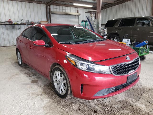Kia Forte lx (2017)