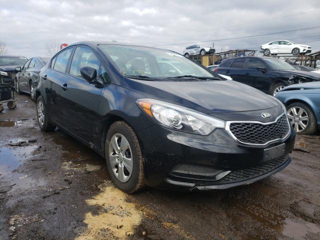 Kia Forte lx (2015)