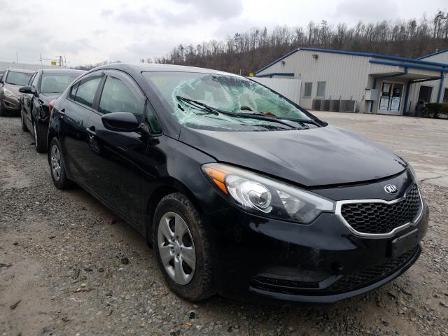 Kia Forte lx (2015)