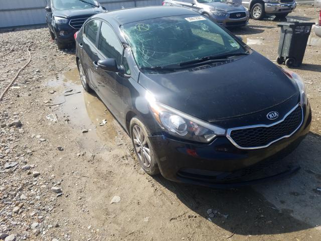 Kia Forte lx (2016)