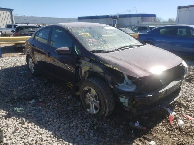 Kia Forte lx (2017)