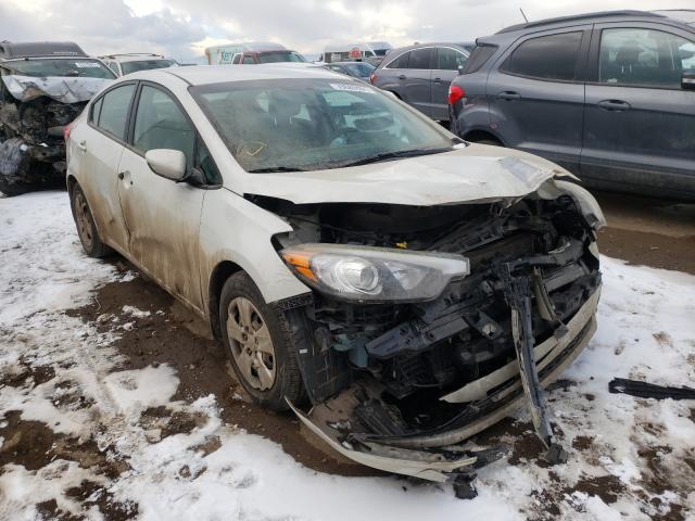 Kia Forte lx (2015)