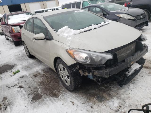 Kia Forte lx (2015)