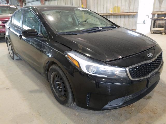 Kia Forte lx (2017)