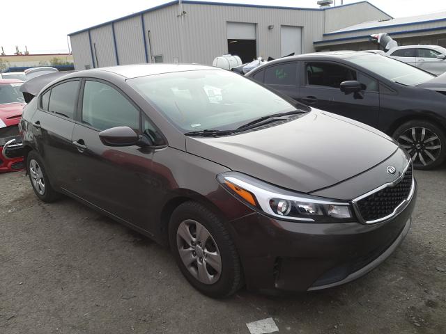 Kia Forte lx (2017)