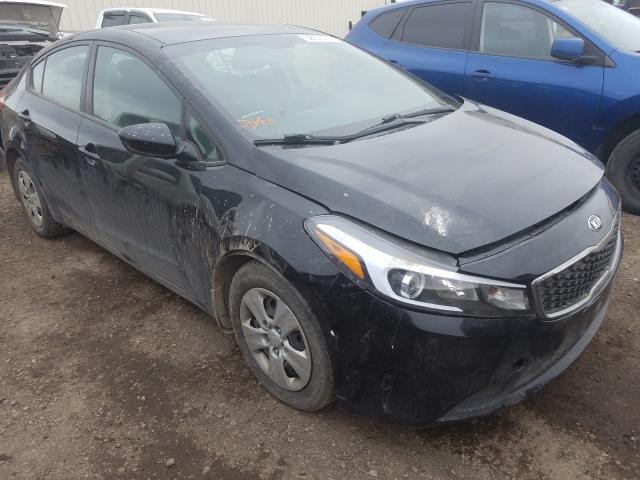 Kia Forte lx (2018)