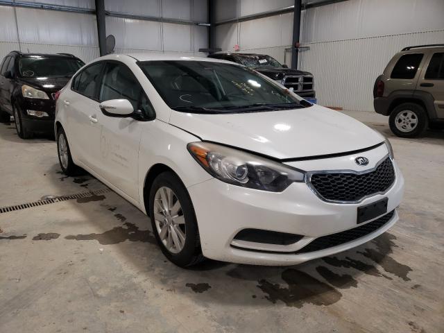 Kia Forte lx (2014)