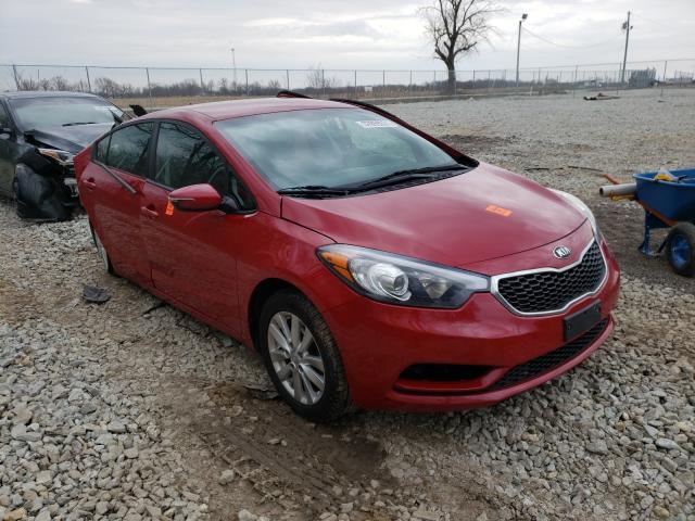 Kia Forte lx (2016)