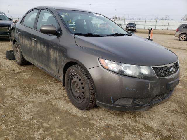Kia Forte lx (2012)