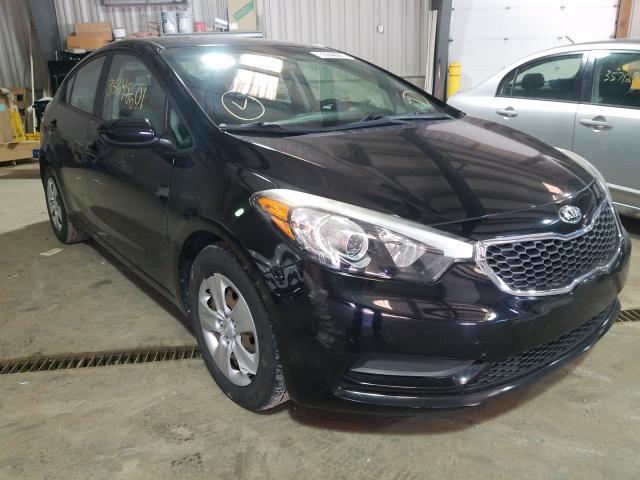 Kia Forte lx (2014)