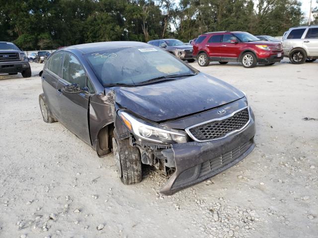 Kia Forte lx (2017)