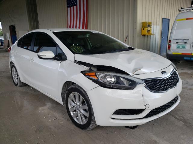 Kia Forte lx (2014)
