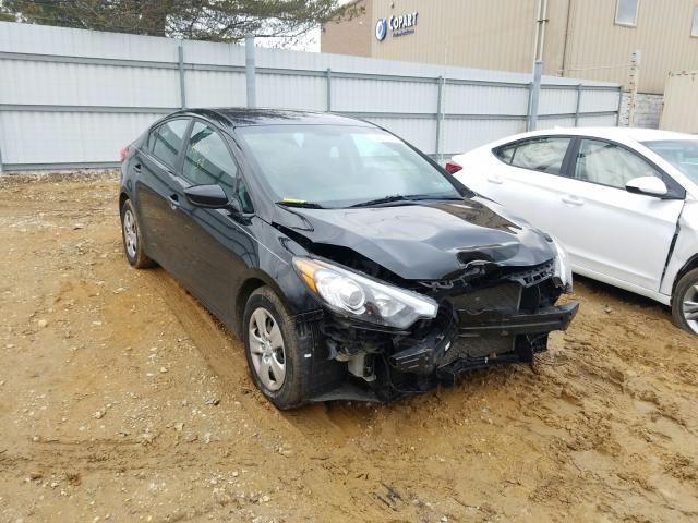 Kia Forte lx (2016)
