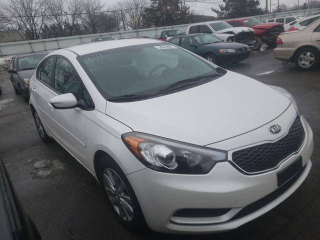 Kia Forte lx (2015)