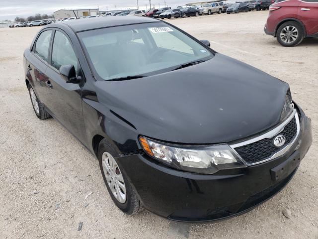 Kia Forte lx (2013)
