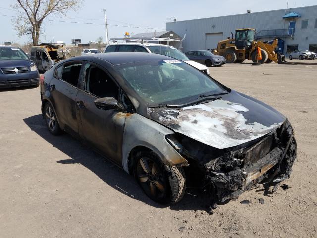 Kia Forte lx (2018)