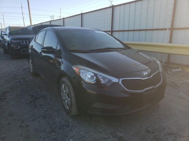 Kia Forte lx (2016)
