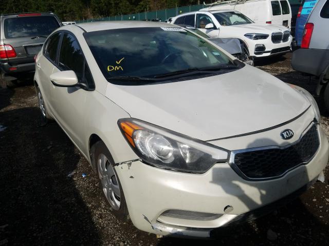 Kia Forte lx (2015)