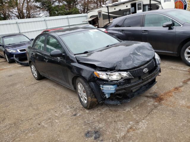 Kia Forte lx (2013)