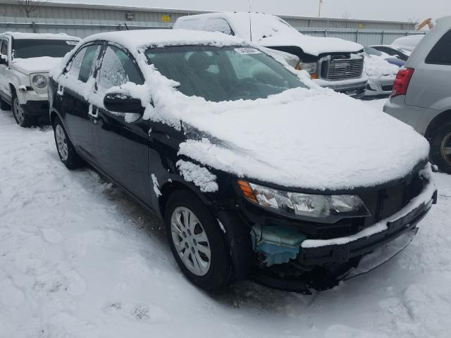 Kia Forte lx (2012)