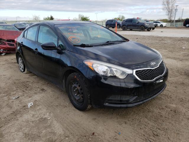 Kia Forte lx (2014)