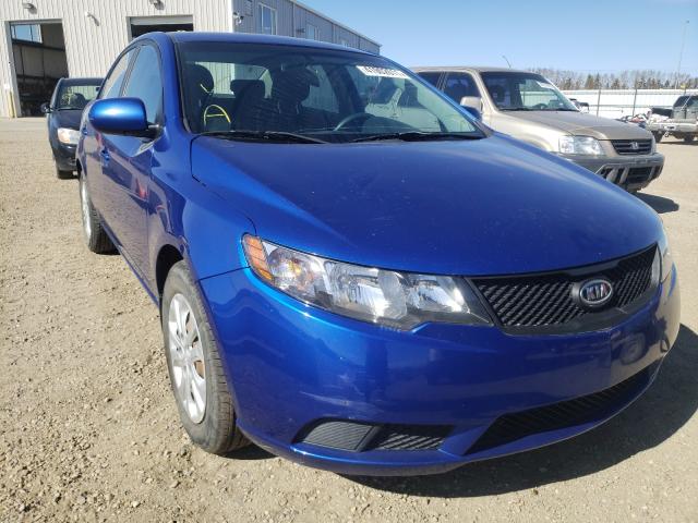 Kia Forte lx (2010)