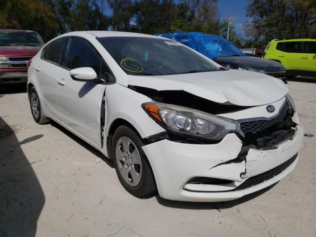 Kia Forte lx (2016)