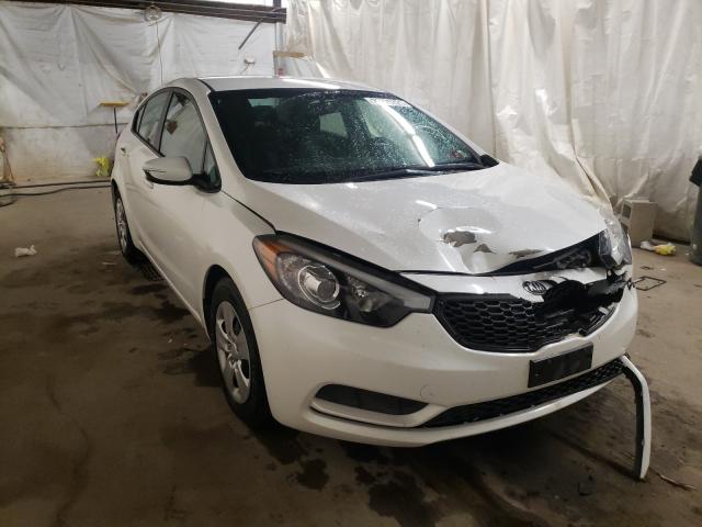 Kia Forte lx (2015)