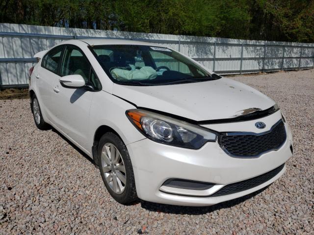 Kia Forte lx (2014)