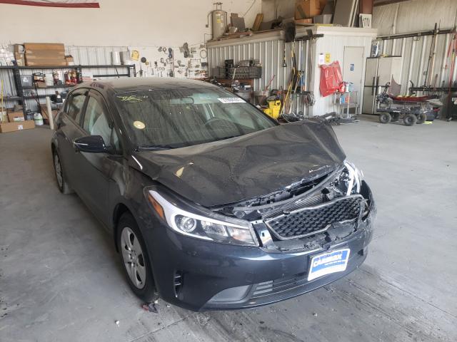 Kia Forte lx (2017)