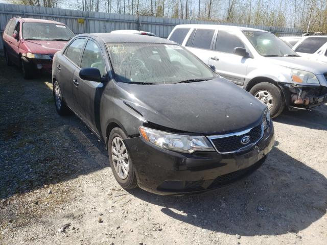 Kia Forte lx (2013)