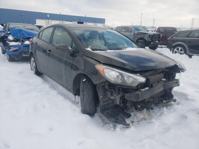 Kia Forte lx (2015)