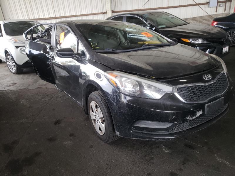 Kia Forte lx (2015)