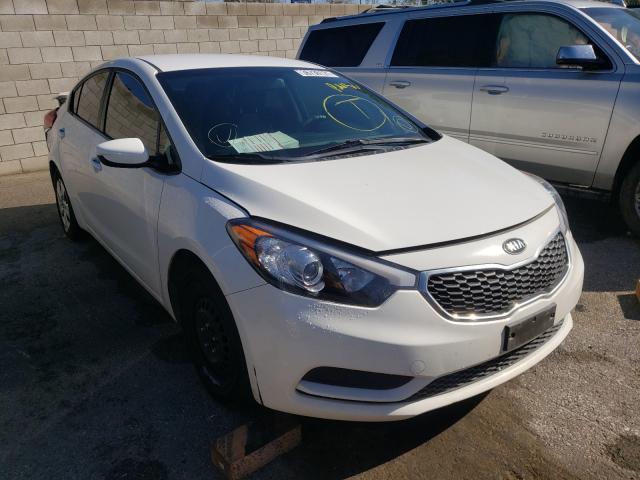 Kia Forte lx (2016)