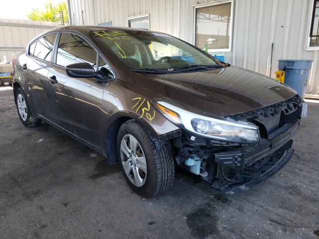 Kia Forte lx (2017)