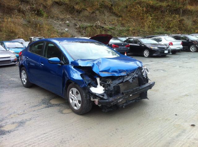 Kia Forte lx (2014)