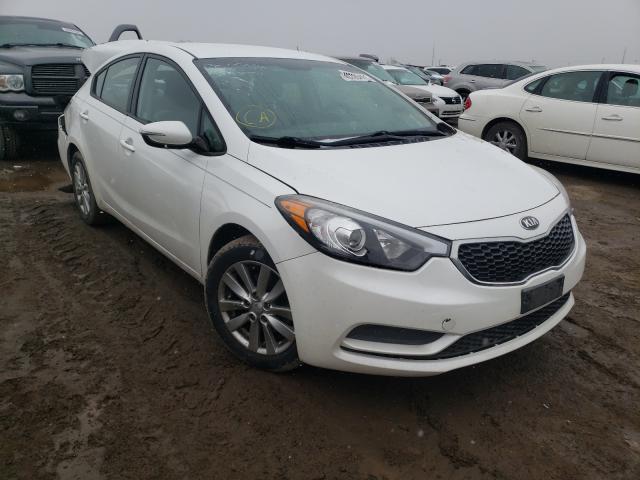 Kia Forte lx (2014)