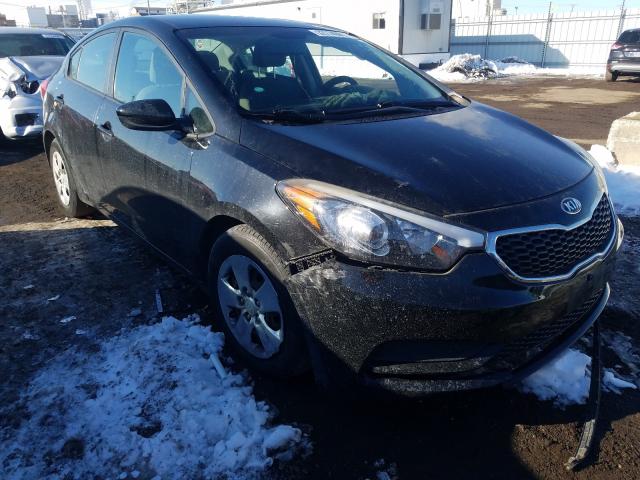 Kia Forte lx (2015)