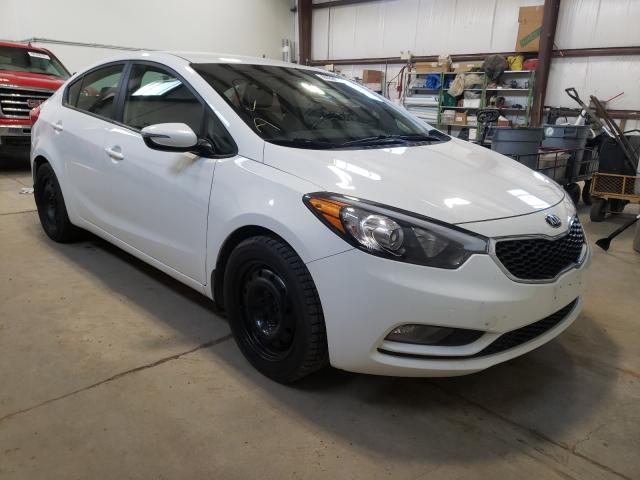 Kia Forte lx (2015)